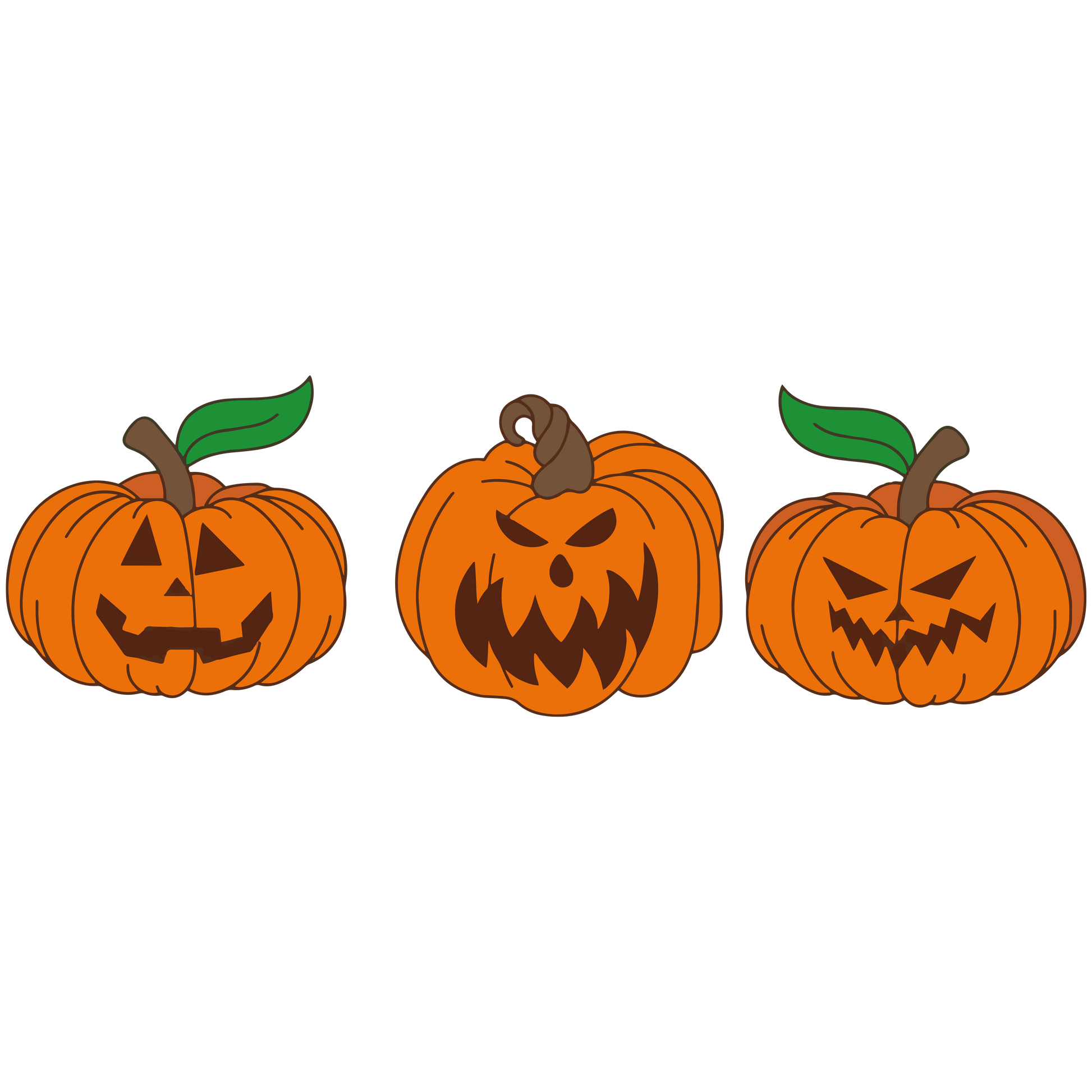 Pumpkins (3 Pack) - Redline Graphics UK