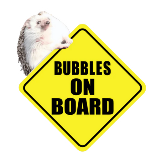 Bubbles On Board