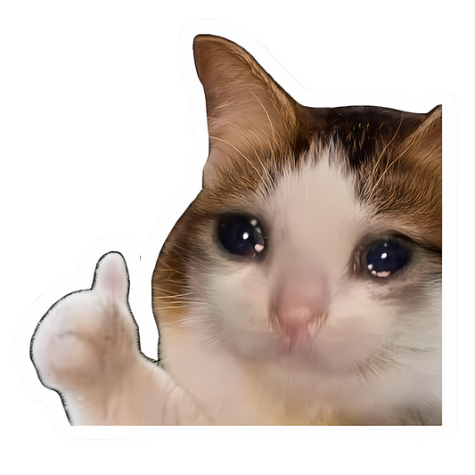 Sad Cat Thumbs Up